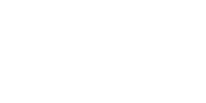 Dynamic Link Solutions